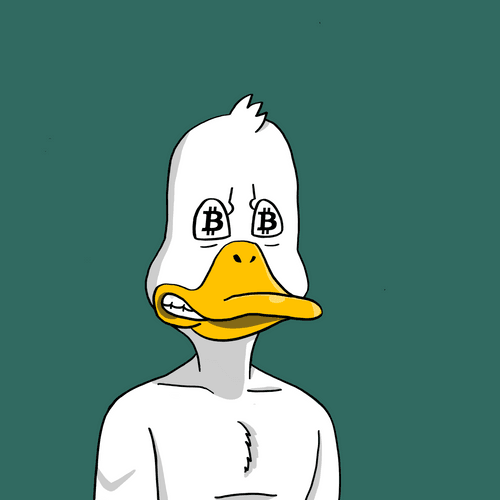Charts going crazy 🥵 
Don't forget that the OG projects that built during the bear will thrive! 💪The entry point on <a href="/NoncoDucks/">Nonconformist Ducks</a> is riDUCKulously low 👀 
Come Quack with us 🦆