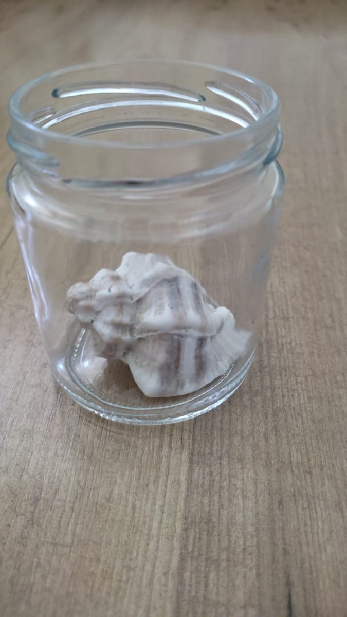 D’unes vacances no gaire llunyanes he vengut. He viatjat pel mar fins arribar a les mans d’algú que vol sentir els secrets que amaguen els peixos. El seu origen és un misteri que es barreja amb la història del mar, teixint llegendes que es despleguen amb cada onada.