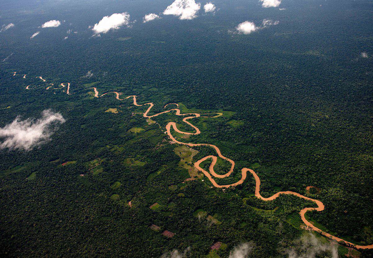 🔴 'The Lungs of the Earth' faces the threat of disappearance. Environmentalists sound the alarm. ‼️ The Amazon is referred to as the 'lungs of the planet.' Researchers estimate that in the next decades, between 10 to 47 % of the current vegetation cover in the Amazon will be