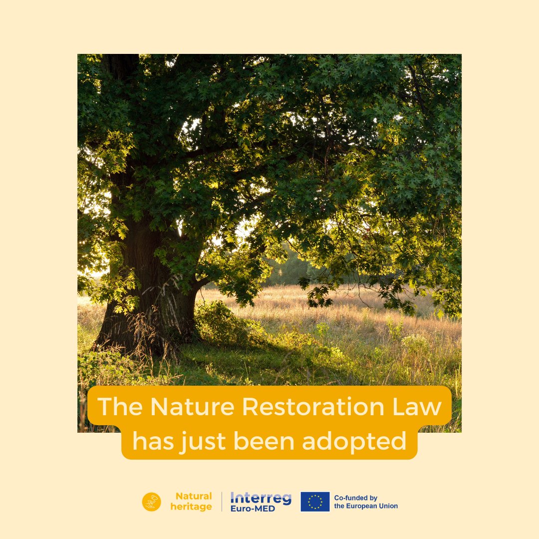 💚Today, the Nature Restoration Law was adopted! 🌍 It'll be at the heart of Natural Heritage Mission's  1 Summer School curriculum
👉 bit.ly/SummerSchoolNH 
#EUNatureRestorationLaw #ProtectNature #RestoreNature