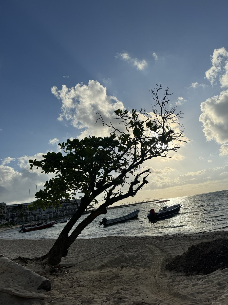 Lenin Amaro B. tweet media