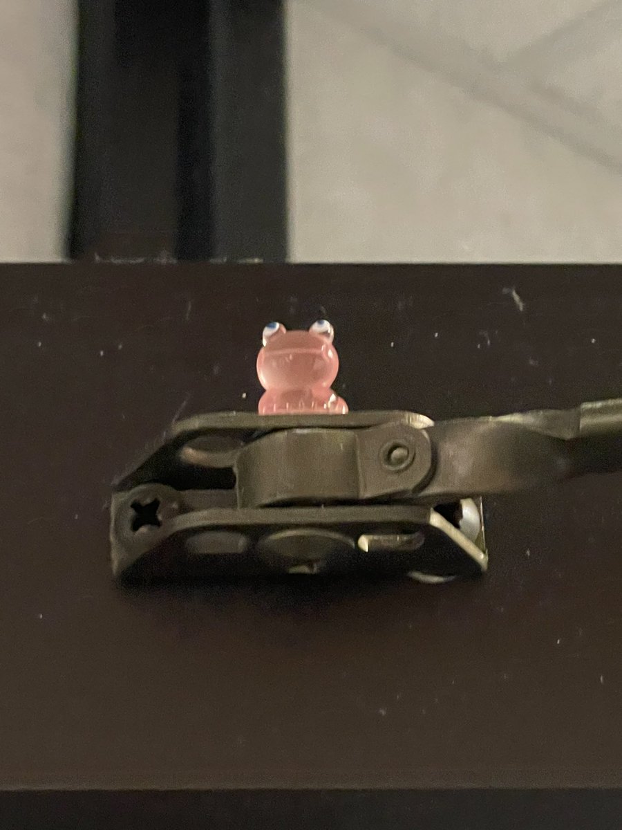 MsNelsonAP's tweet image. When you get an extra day in a year you have to do something to celebrate! Tiny frogs will be popping up around our campus for a little fun!