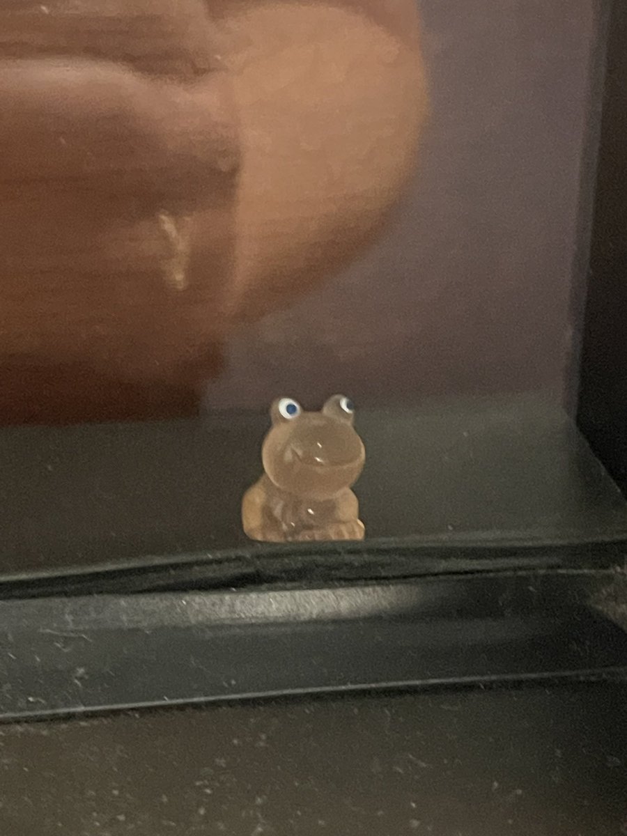 MsNelsonAP's tweet image. When you get an extra day in a year you have to do something to celebrate! Tiny frogs will be popping up around our campus for a little fun!