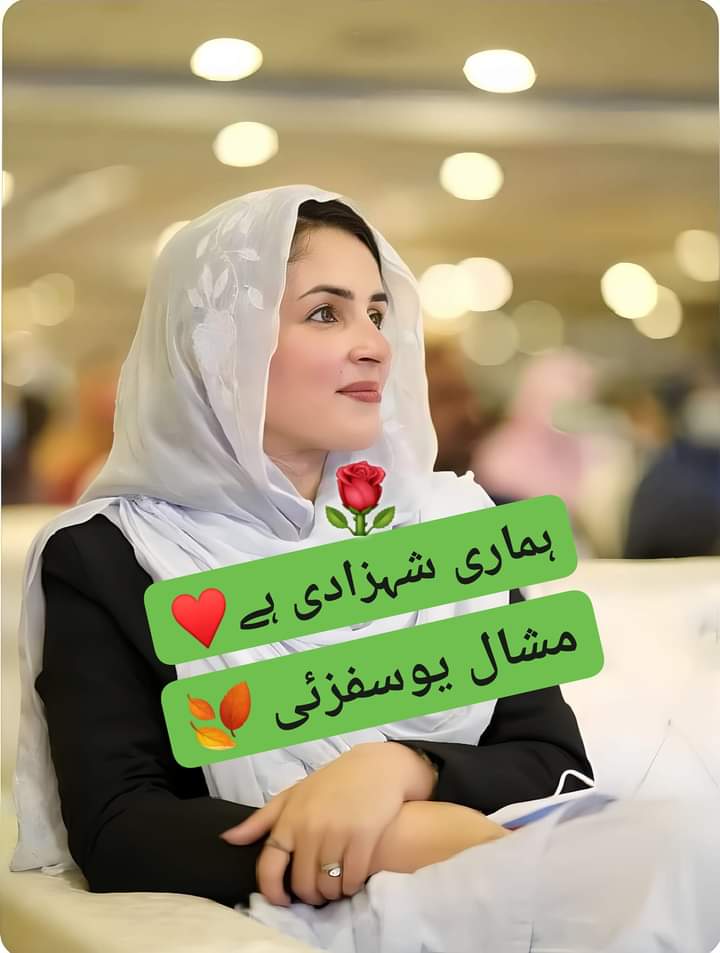 umnazaidi tweet media