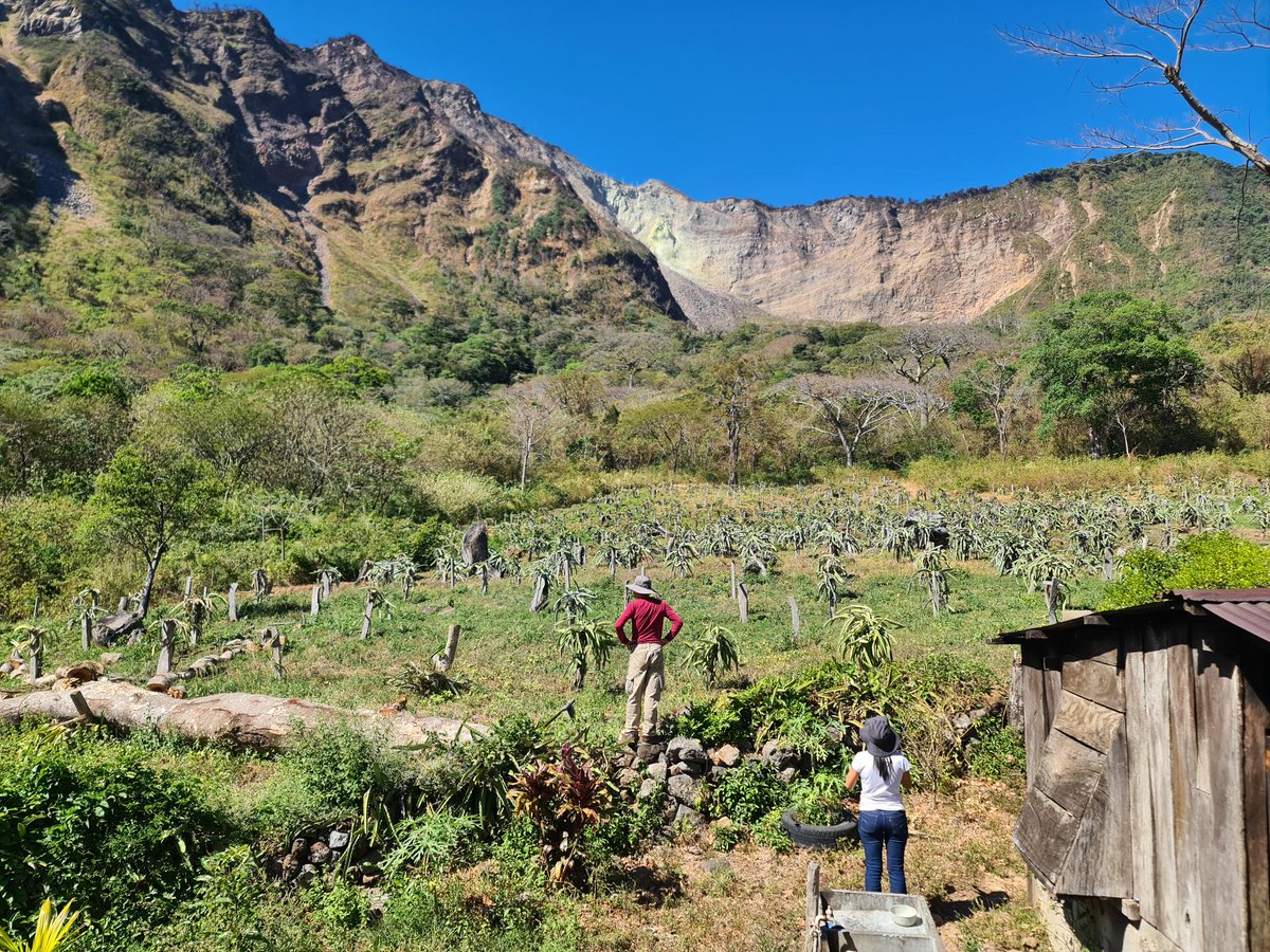 ERC_IMAGINE tweet media