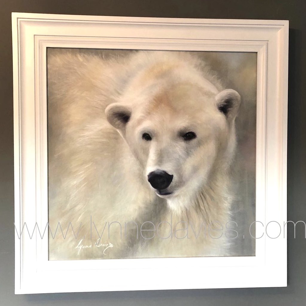 It's National polar bear day ❤️ I sold this one before I scanned or photographed it for prints 🙈This bear lives in Copenhagen. 

#polarbear #nationalpolarbearday #art #painting #oilpainting #wildlife #artist #soloexhibtion #sirharoldhilliergardens