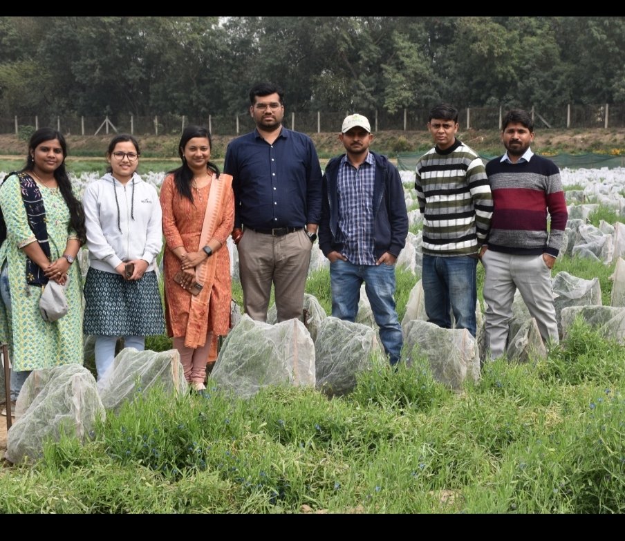 Visit by @icarada & @CropTrust team to #Grasspea #cropwildrelatives Trial at @INbpgr Pusa campus, New Delhi.