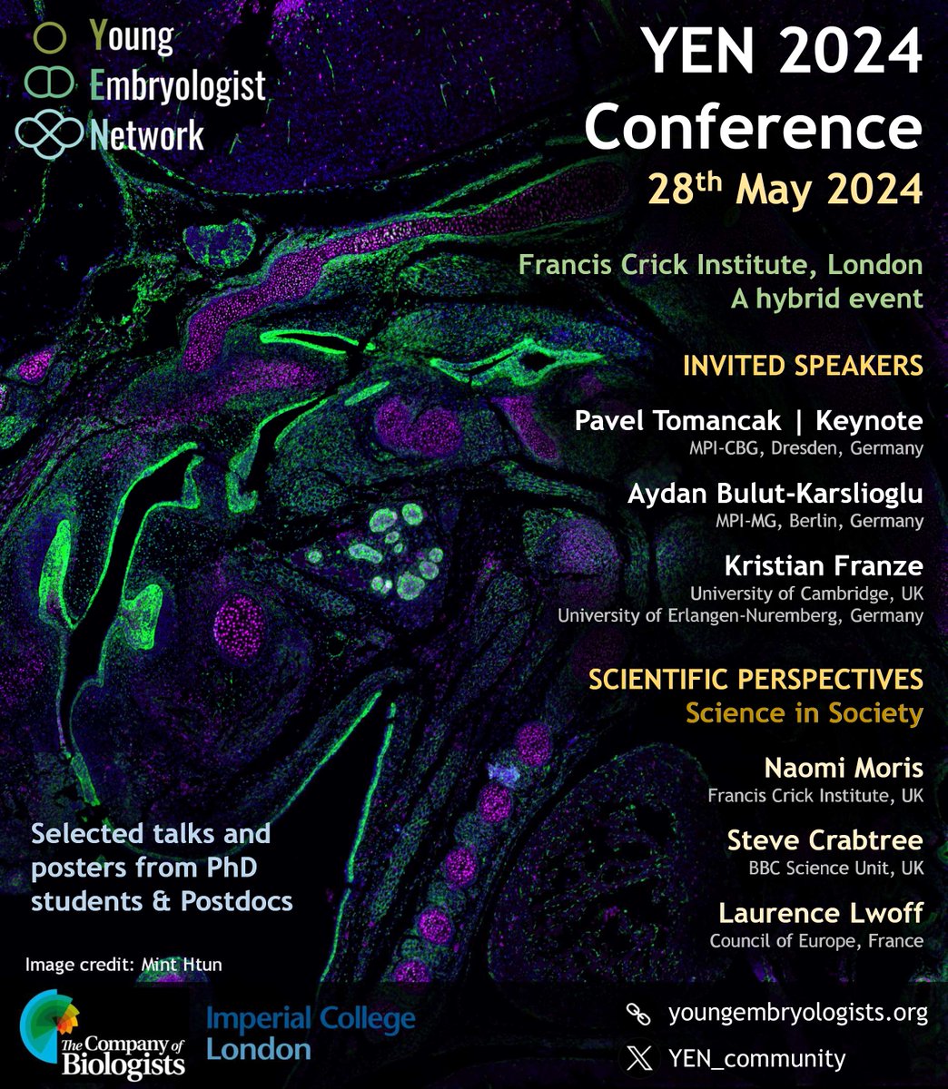 Registration is open for #YEN2024! Join us on May 28th @TheCrick and online around the world 🌎Registration is free! Send in your abstracts for a chance to present your work in a talk or poster. Travel grants are available thanks to @Co_Biologists!🙌 tinyurl.com/YENMeeting24