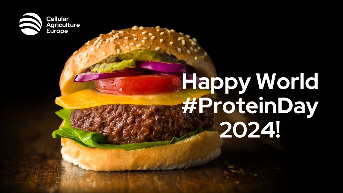 Happy World #ProteinDay! 🌍🥩

Today, we celebrate this special day by hoping for a rapid and smooth introduction of cultivated meat or seafood in the #EU 🇪🇺. 

Let's pave the way for a sustainable and delicious future! 😋💚