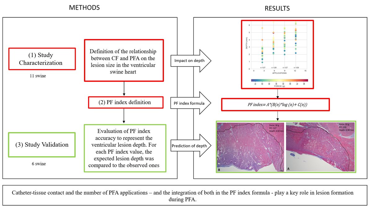 We present the first evaluation of the impact of CF and PFA integrated in the PF index formula to guide PFA ablation in the ventricular swine heart @JonHsuMD @rahul3000 @AndyZhangMD @Grupposovito @luigidibiasemd #AHAJournals #Epeeps doi.org/10.1161/CIRCEP…
