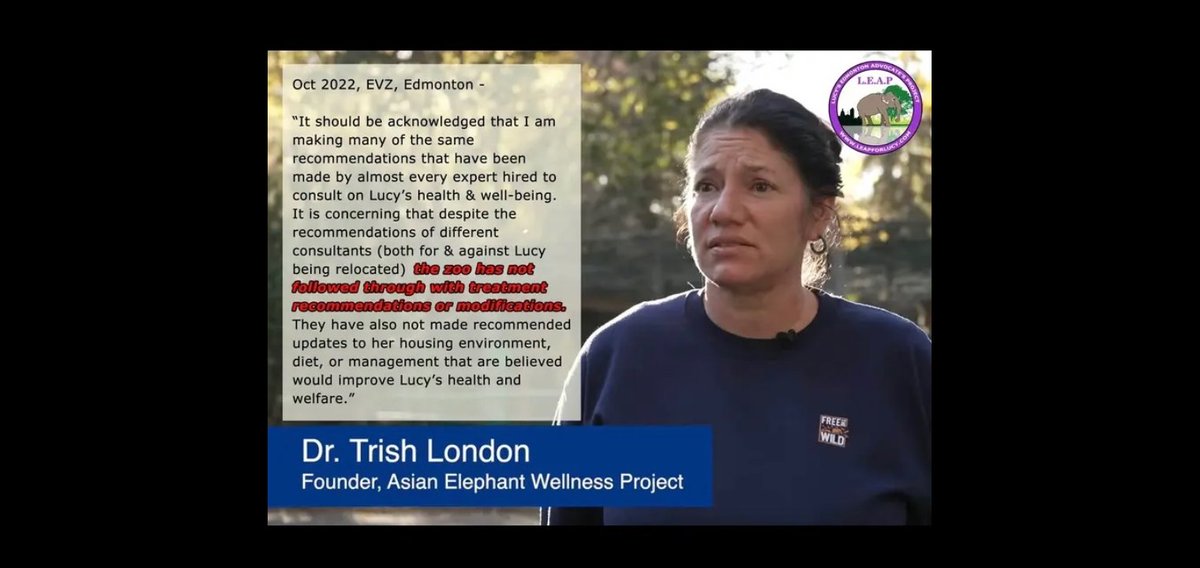 JulieKi53713414's tweet image. Tuesday February 27/24

🇨🇦🐘🌡️🚨 Edmonton Alberta Canada -34°c today for poor precious Lucy as Dr Patricia London &amp;amp; @IngoSchmidinger EXPLICITLY STATE @ElephantsTN ASAP 🇺🇲‼️

#yegzoo #Evil #ElephantAbuse