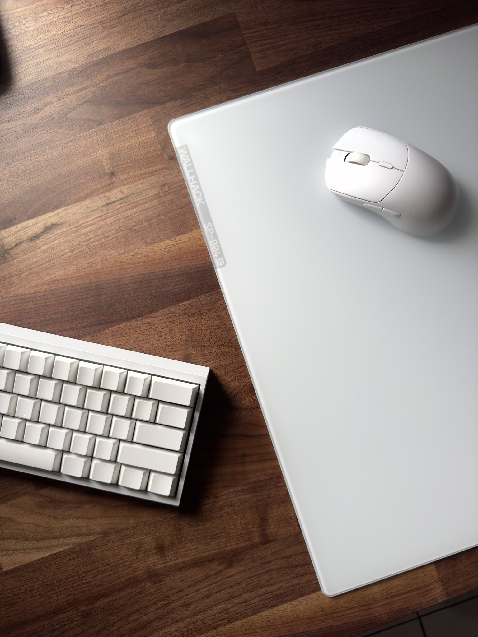 WALLHACK SP-004 White