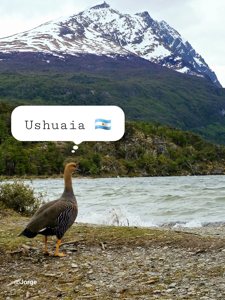 Jorge_Ar__'s tweet photo. El Lago Acigami: Un espejo de belleza en Ushuaia
#Ushuaia #LagoAcigami #FindelMundo #BellezaNatural #PatagoniaArgentina
En el Parque Nacional Tierra del Fuego, rodeado de montañas majestuosas y bosques infinitos, se encuentra el Lago Acigami, un oasis de paz y belleza incomparable. Sus aguas cristalinas, de un azul profundo que refleja el cielo, te invitan a sumergirte en un estado de contemplación absoluta.
#NoTeLoPierdas #ViajaArgentina #TurismoAventura #Naturaleza
