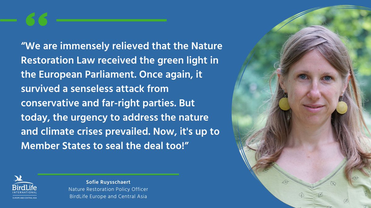 🌱Today, the European Parliament listened to the calls of over 1 million citizens, businesses, scientists and NGOs! The law to #RestoreNature represents an historic opportunity to bring nature back to Europe. At a time when the continent is ravaged by floods, droughts and…