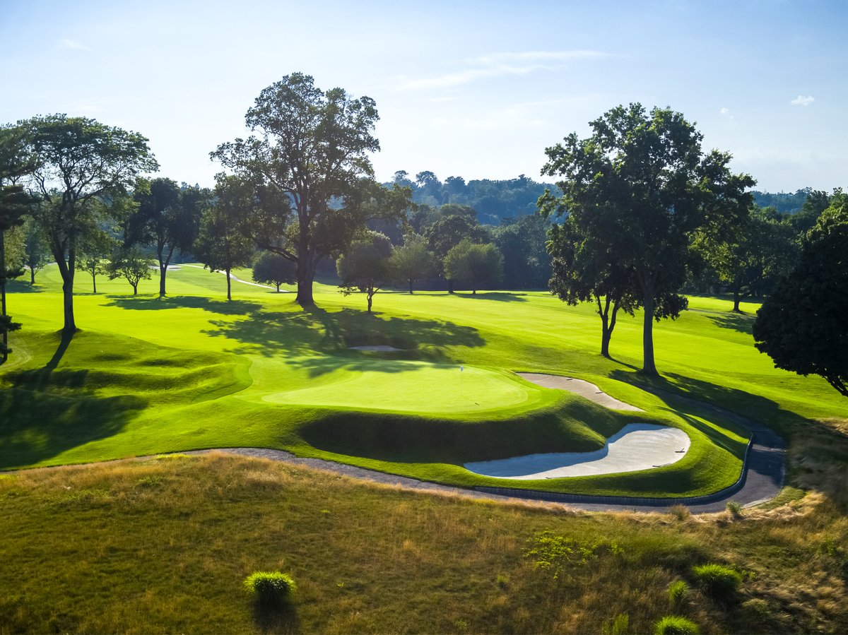 Metropolis Country Club tweet media