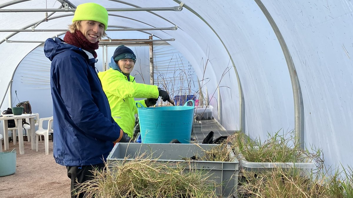 If you want to help increase biodiversity by restoring saltmarsh habitat, you can join our friendly group on Wednesdays at the Plant Hub just outside of St Andrews.
More info greenshores.wp.st-andrews.ac.uk
@NatureScot #NatureRestorationFund @ScotGovNetZero