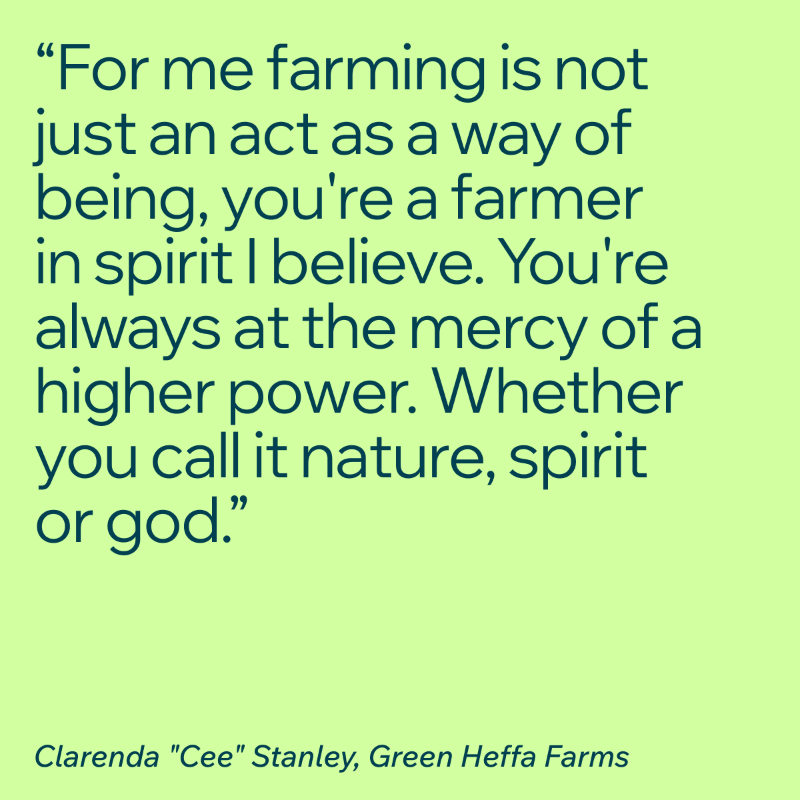 Wix's tweet photo. .@greenheffafarms, a small batch, boutique farm devoted to producing high-quality medicinal plants and herbs in their artisanal blends. 

They also serve as a resource for other farmers, sharing Black heritage farming knowledge. 

https://t.co/DHJDL6ezjx | #CreatedWithWix