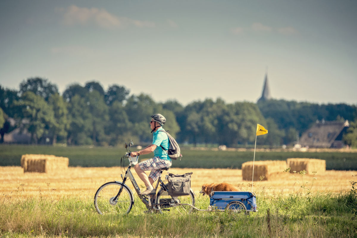Vanaf 10 april kunnen Drentse 65-plussers een goedgekeurde fietshelm met 25 euro korting aanschaffen bij alle fietsenzaken in Drenthe. De Stichting Bevordering Verkeerseducatie ontvangt hiervoor subsidie. Er is budget voor 2.000 fietshelmen. ➡️ tinyurl.com/yfncbmc7
