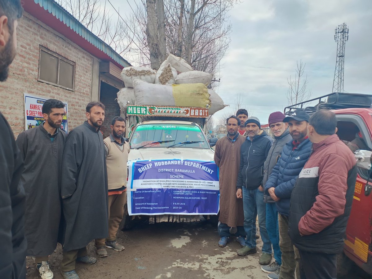 Sheep Husbandry Department, Baramulla @Dsho_Bla tweet media