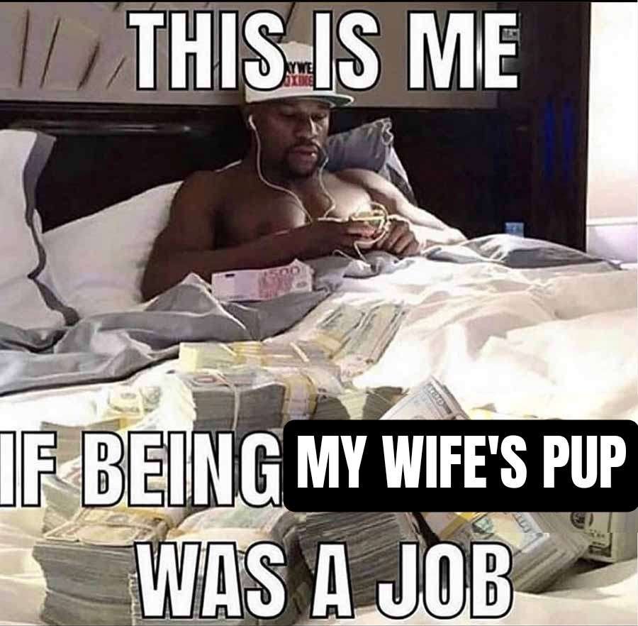 twitch.tv/satherax live LIVE please follow maybe teehee