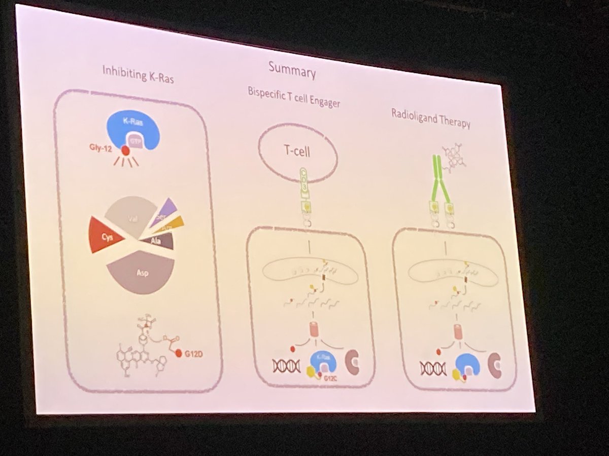 #EACR-AACR-IACR Keynote lecture from pioneer Kevan Shokat whose work has ushered in a sea change in the ability to target KRAS, here he educates us on next steps for KRAS targeting- including bispecifics and radioligands @UCSF @EACRnews @AACR @IACR_News