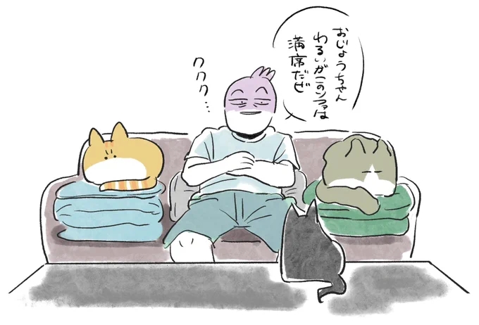 テレビ見てた #秀さんちのゆるねこ日記 