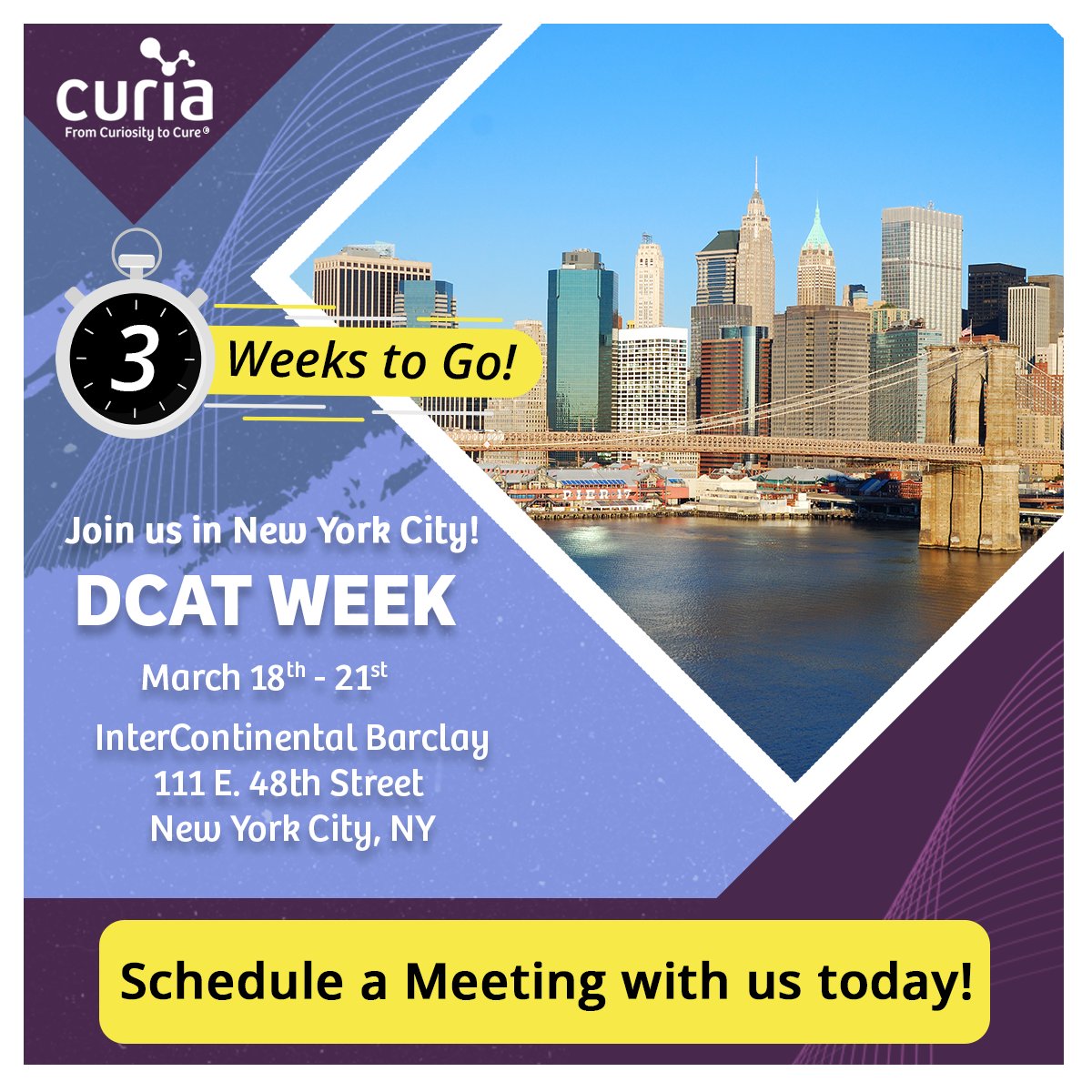 CuriaCDMO's tweet image. The countdown has started!
Schedule a #DCATWeek meeting with Curia experts today to learn how we can help you accelerate the journey – from curiosity to cure! ow.ly/pVpb50QwvJy

#CDMO #biologics #smallmolecule #pharma