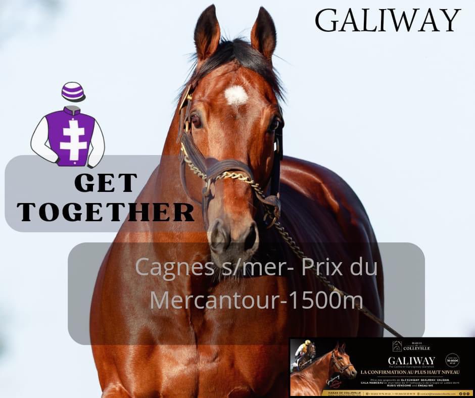 Success for GALIWAY at Cannes Sur Mer thanks to his 3yo daughter GET TOGETHER for trainer Fabrice Vermeulen, owner Écurie MG and breeders Mme K Morice and Plasman-PVP Racing