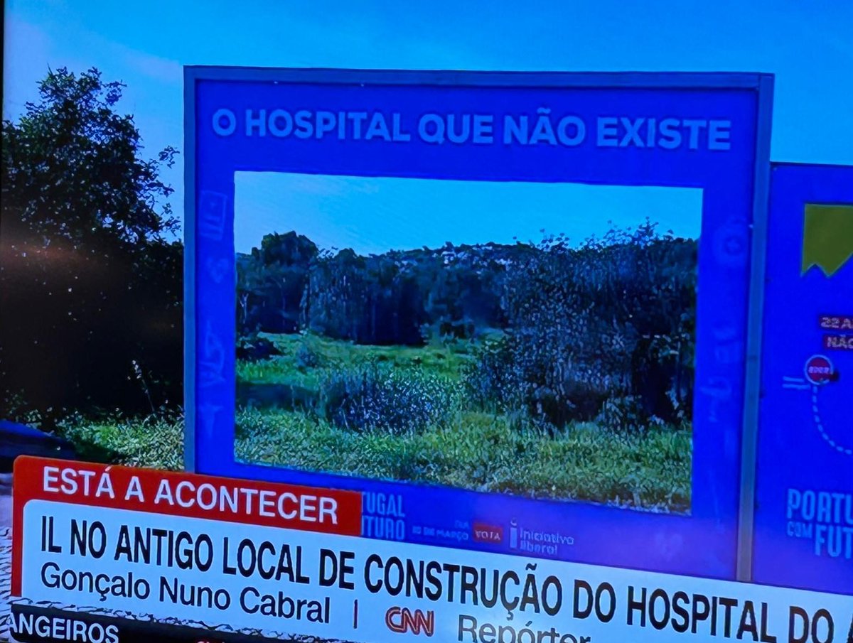 Atacaram de novo 😭

(No Algarve)