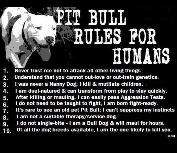 BrownCraig44264's tweet photo. @morgan_sheriff https://t.co/QdRDjNfkPq