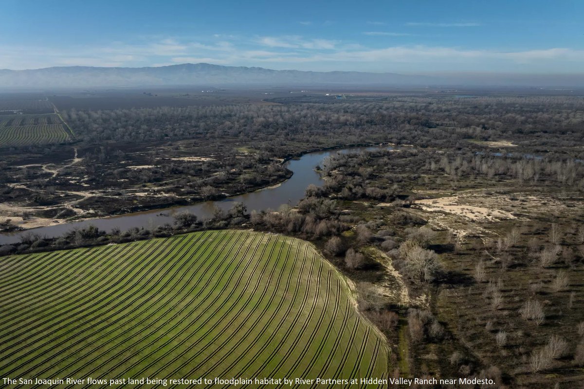 How Freeing #Rivers Can Help #California Ease #Flood Risks & Revive #Ecosystems
-
latimes.com/environment/st…
-
#GIS #spatial #mapping #hydrology #water #floodplains #naturalsystems #flooding #treeplanting #trees #vegetation #habitat #extremeweather #climatechange #droughts