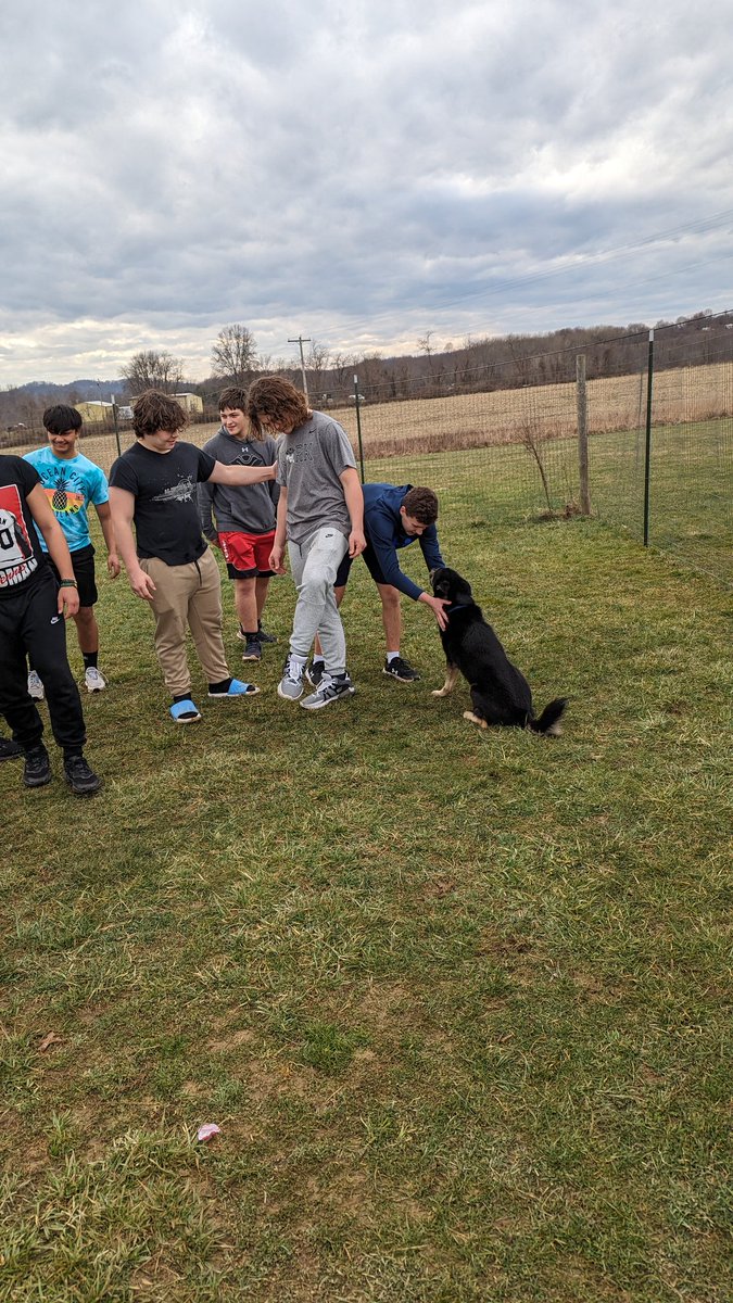 ᴅʀᴇᴡ ᴅɪɴᴅʟ tweet media