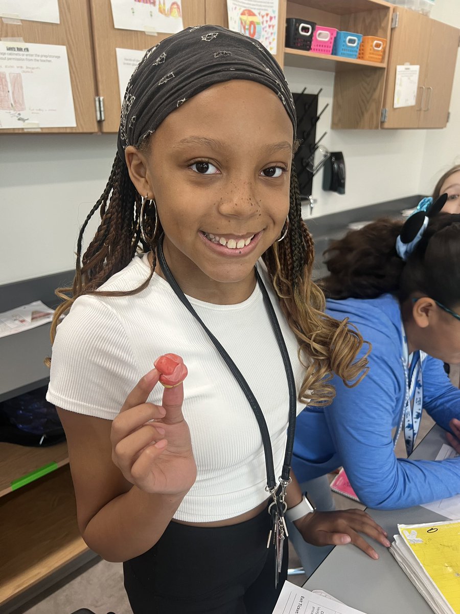 coach_workman_'s tweet image. Students explored the rock cycle today by creating their own Starburst sedimentary, metamorphic, &amp;amp; igneous rocks 🪨
#KMSCougarPride