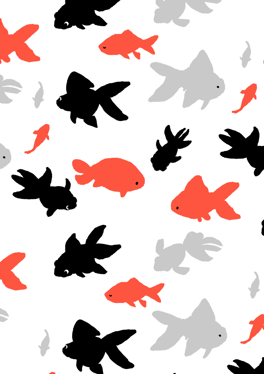 fish no humans white background simple background from side animal animal focus  illustration images