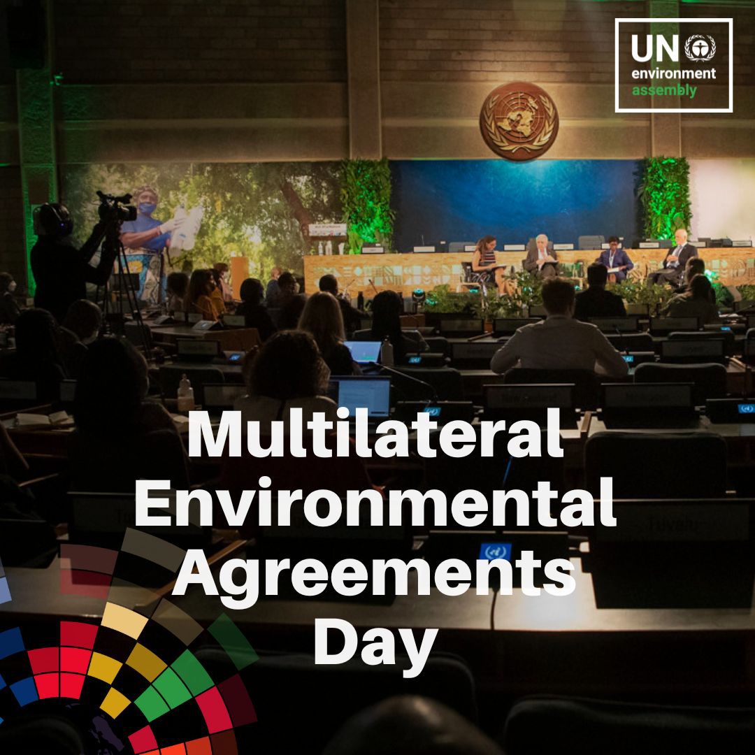 Wednesday at #UNEA6 is all about coordination with & the impact of Multilateral Environmental Agreements, which do everything from countering forever chemicals to protecting migratory species. #MEAday dialogues info & new timeline of key moments: unep.org/environmentass…