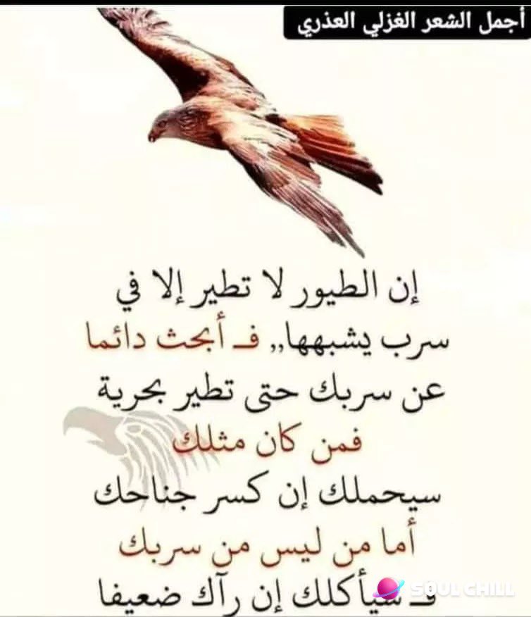 احمد الشويطري tweet media