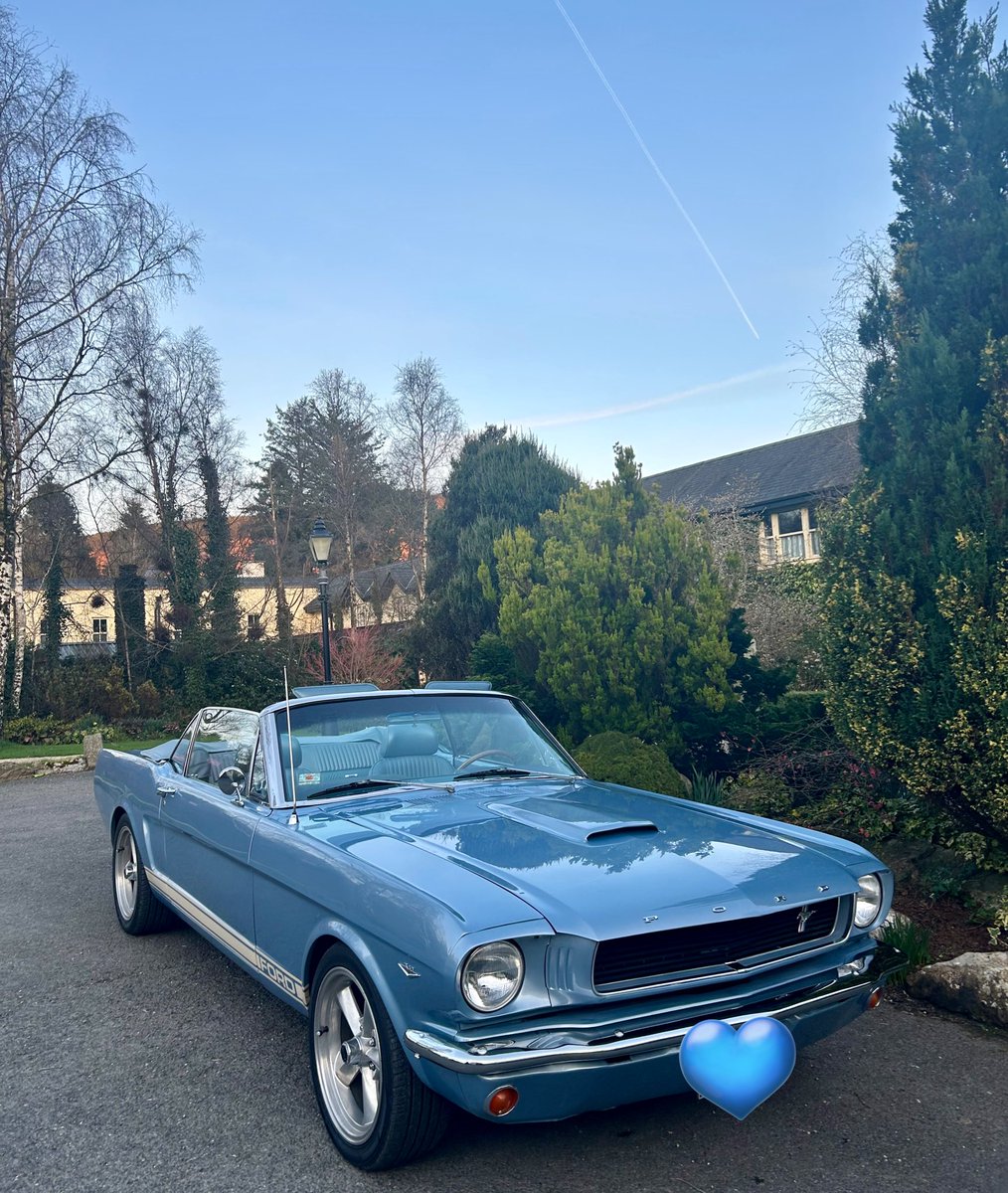 A lot of jealous Crew in admiration of the Mustang today… travelling in style to BrookLodge & Macreddin Village 💙 #MustangMonday #BrookLodge #MacreddinGuest #MacreddinVillage #Wicklow