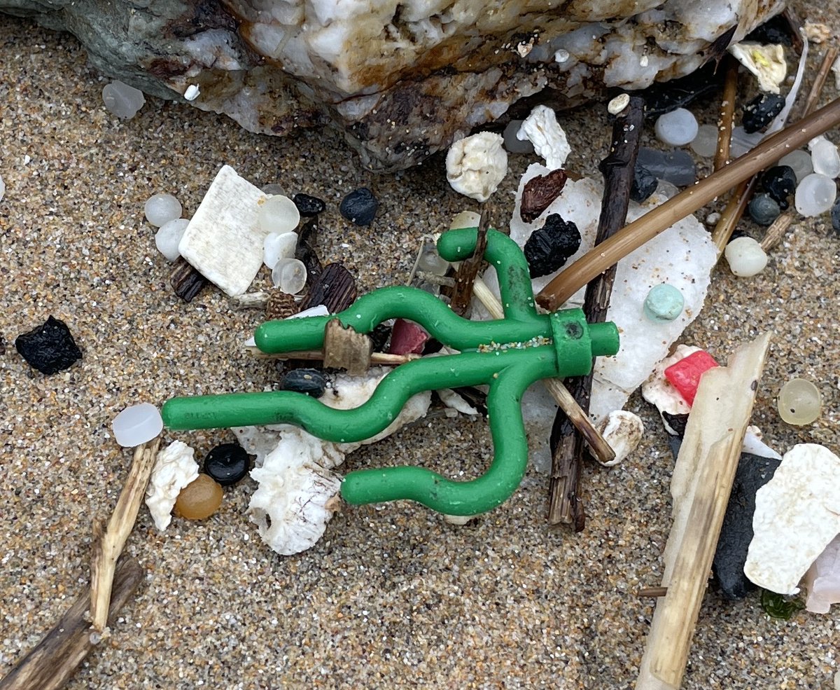 A piece of Lego sea grass on the strandline today, one of 54,000 lost overboard from the Tokio Express back in 1997. The lingering legacy of a cargo spill. 27 years on, still washing up. #plasticarchaeology #Anthropocene