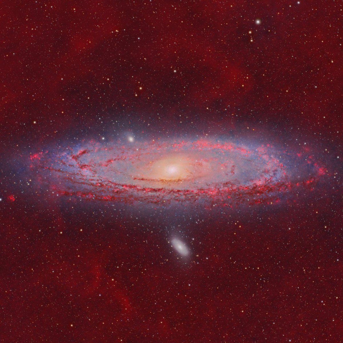 The incredible beauty of the Andromeda Galaxy. This object is so large & bright it's visible by naked eye, despite being 2.5 MILLION light years away. This cropped photo captured from my backyard shows the faint but colorful nebulae that surround and penetrate the galaxy.