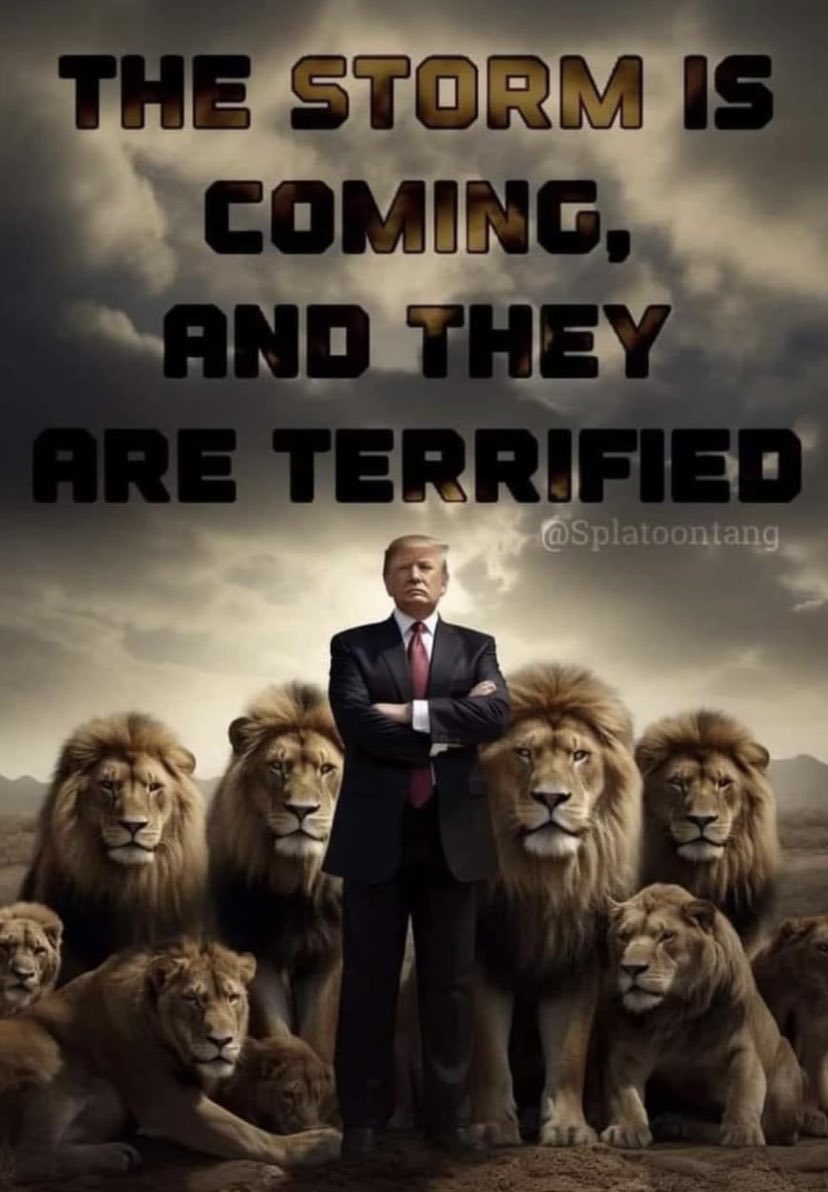 VoWalesWren's tweet image. 🇺🇸 just need a patriotic leader in UK 🇬🇧