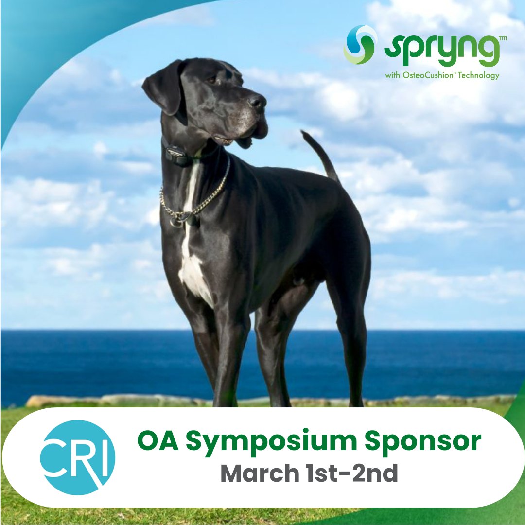 We are proud to be a sponsor of the Canine Rehab Institute's Osteoarthritis Symposium. Participants will be learning how to better manage OA for their patients. 

To learn more about Spryng™ with OsteoCushion™  Technology visit zurl.co/hBkX