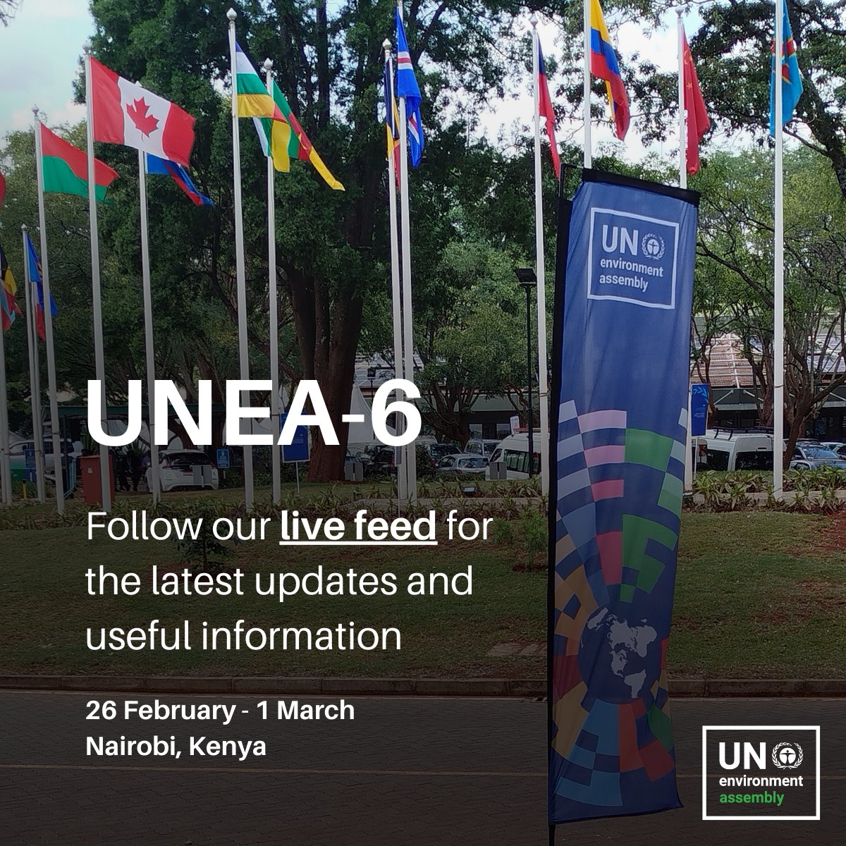 UN Environment Programme tweet media