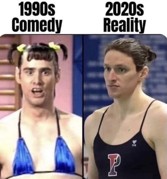 True #comedy #jokes #trans  #transformers #liathomas #hurt  #jimcarey #feelings