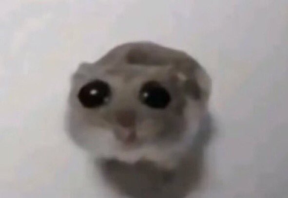 Eust0ma's tweet image. non voglio che il futuro dipenda da me sono solo una ragazza