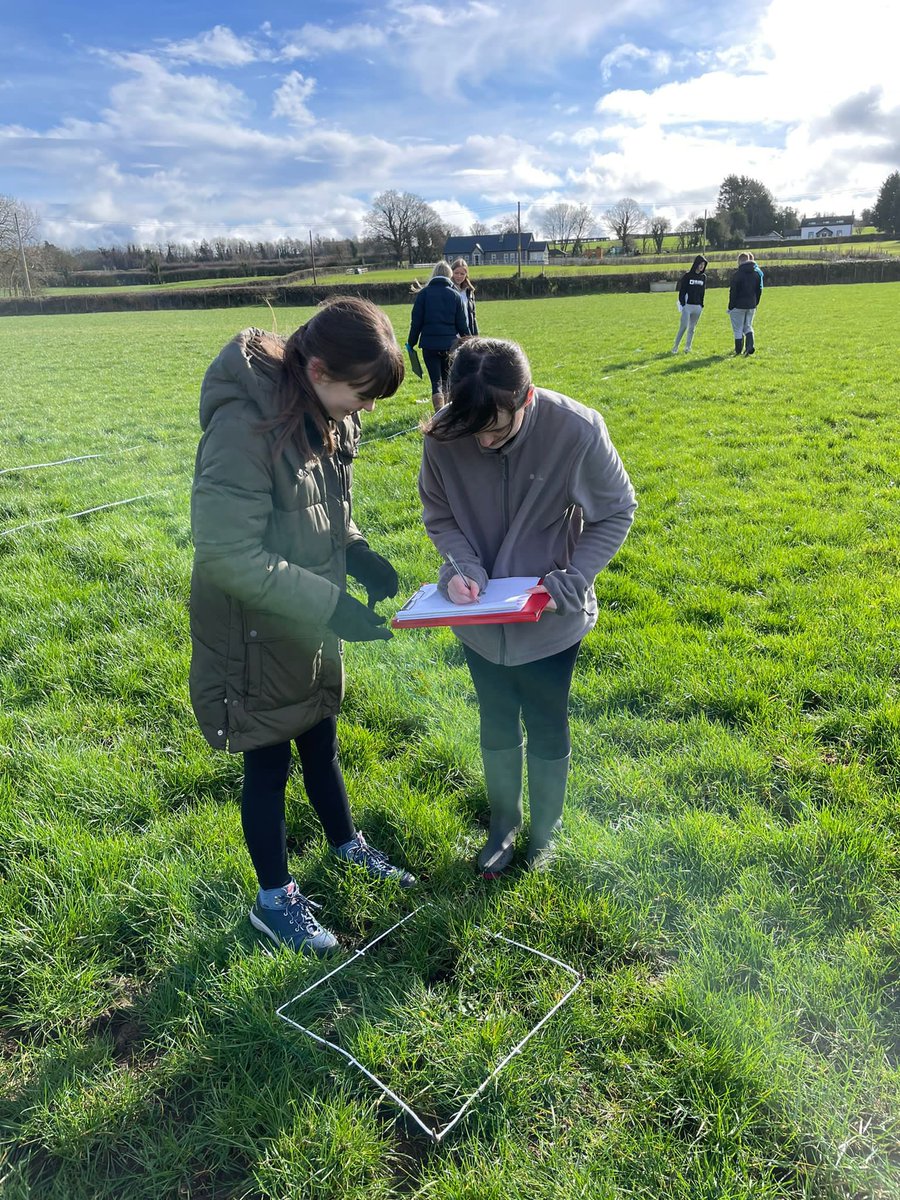 bhs_biodept's tweet image. Our Year 13 biologists had a fantastic day at @DiscoverCAFRE  Greenmount Campus putting their environmental biology theory into practice. Lots of opportunity to see the various agricultural practices at work aswell as carrying out some sampling techniques