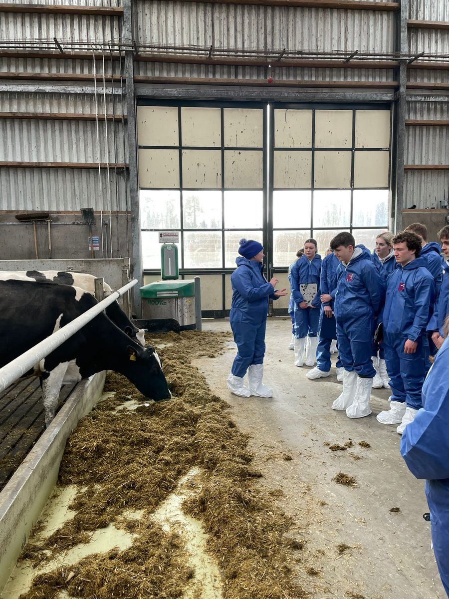 bhs_biodept's tweet image. Our Year 13 biologists had a fantastic day at @DiscoverCAFRE  Greenmount Campus putting their environmental biology theory into practice. Lots of opportunity to see the various agricultural practices at work aswell as carrying out some sampling techniques