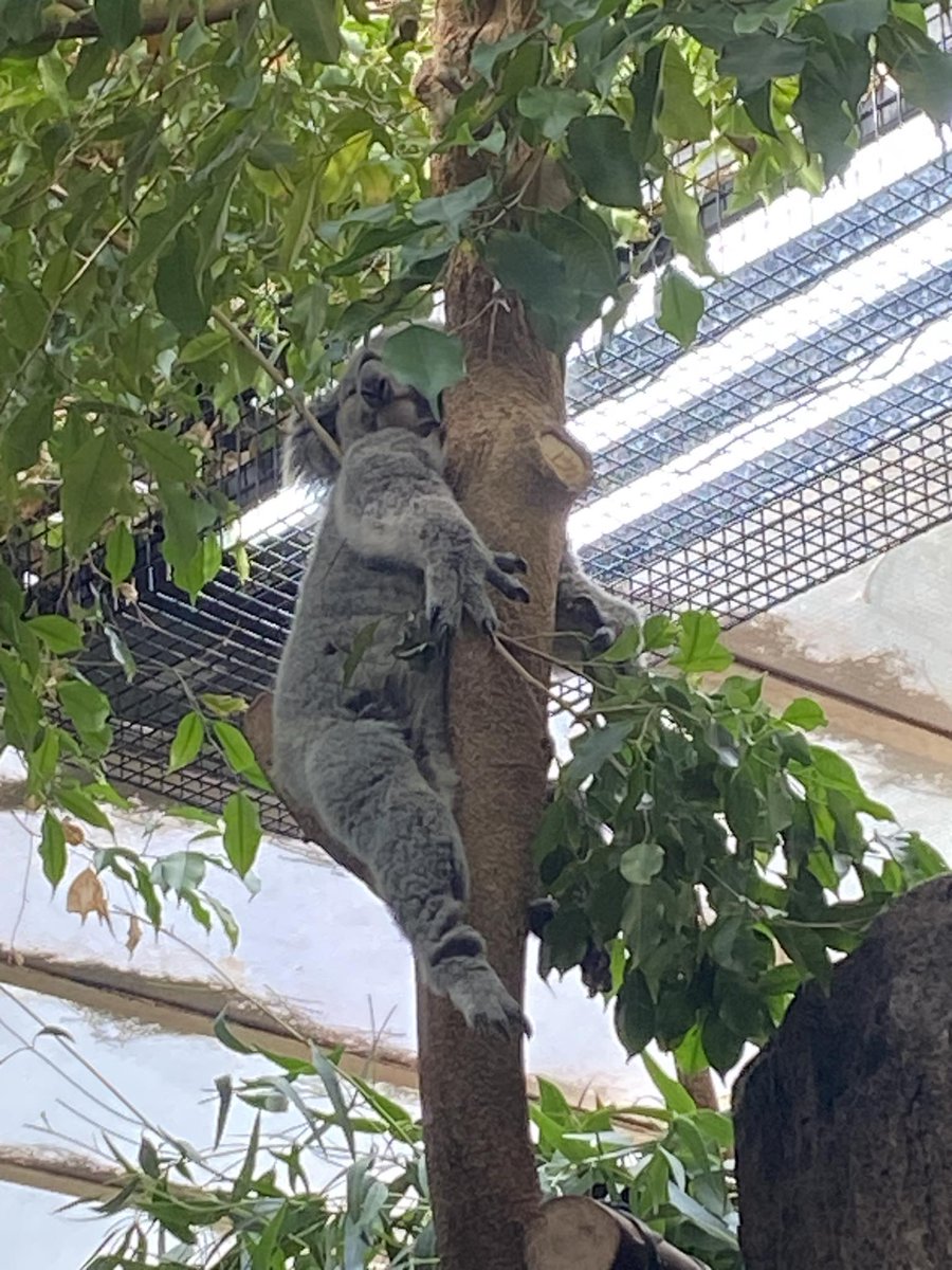 BHSscience tweet media