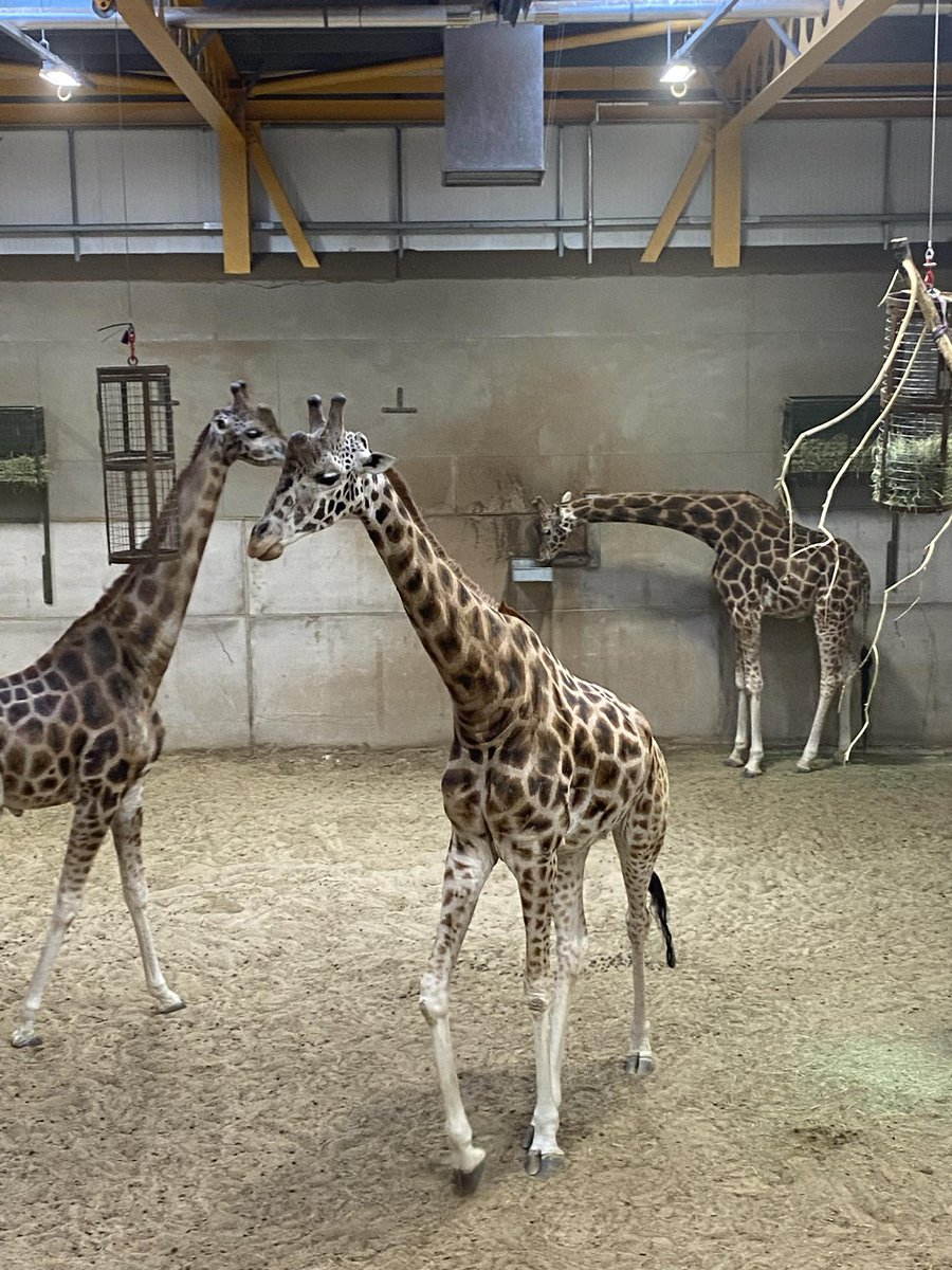 BHSscience tweet media