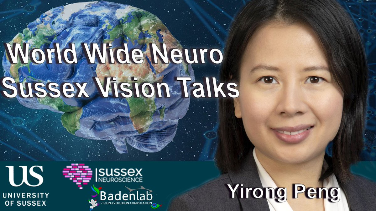 Georgios Kafetzis (@geor_kafetzis) on Twitter photo Monday, British afternoon: Elated to be continuing our Sussex Vision series within <a href="/worldwideneuro/">World Wide Neuro 🧠🗺️</a> with <a href="/PengYRLab/">Yirong Peng</a> on "Molecular Characterization of Retinal Cell Types: Insights into Evolutionary Origins and Regional Specializations"!
<a href="/NeuroFishh/">Tom Baden</a>
Here: youtube.com/watch?v=eqoPs_… Monday, British afternoon: Elated to be continuing our Sussex Vision series within <a href="/worldwideneuro/">World Wide Neuro 🧠🗺️</a> with <a href="/PengYRLab/">Yirong Peng</a> on "Molecular Characterization of Retinal Cell Types: Insights into Evolutionary Origins and Regional Specializations"!
<a href="/NeuroFishh/">Tom Baden</a>
Here: youtube.com/watch?v=eqoPs_…