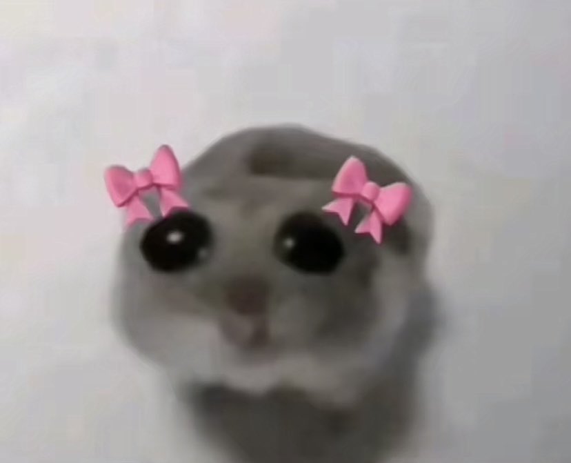 Aymisphere 🌍 tweet media